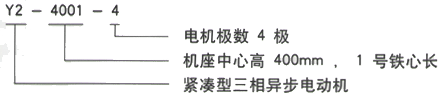 YR系列(H355-1000)高压YJTFKK5601-2三相异步电机西安西玛电机型号说明